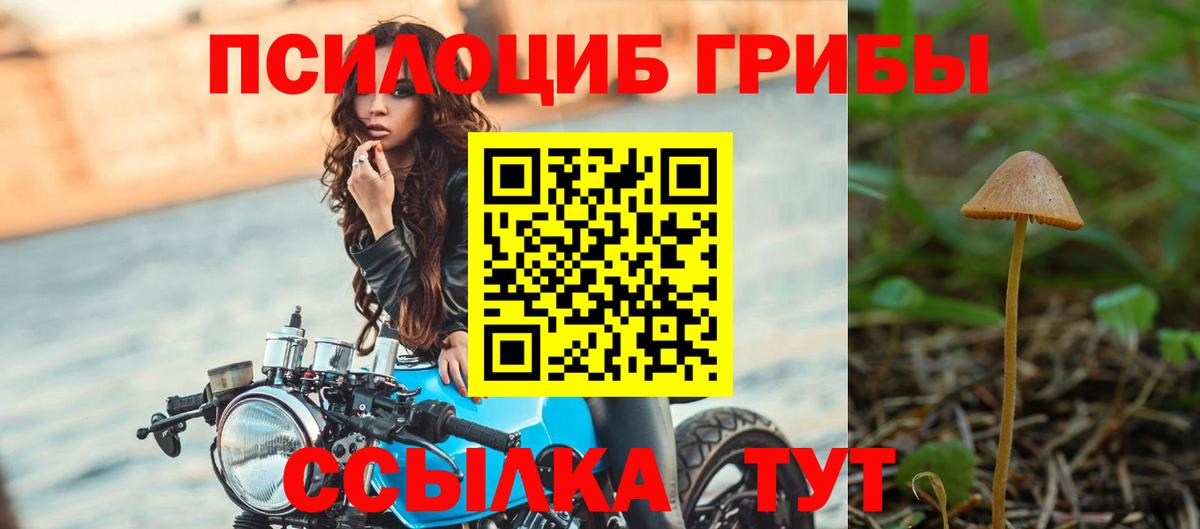 Псилоцибиновые грибы GOLDEN TEACHER  Вход с VPN  Галлюциногенные грибы Magic Shrooms  Лосино-Петровский 
